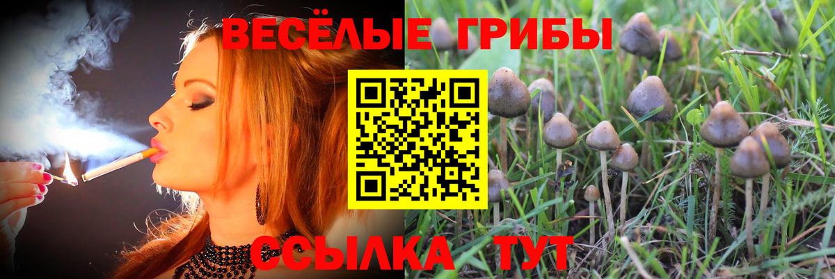 Псилоцибиновые грибы прущие грибы Кизляр