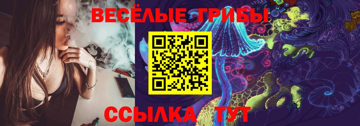 Кизляр  Галлюциногенные грибы GOLDEN TEACHER  Вход с VPN 